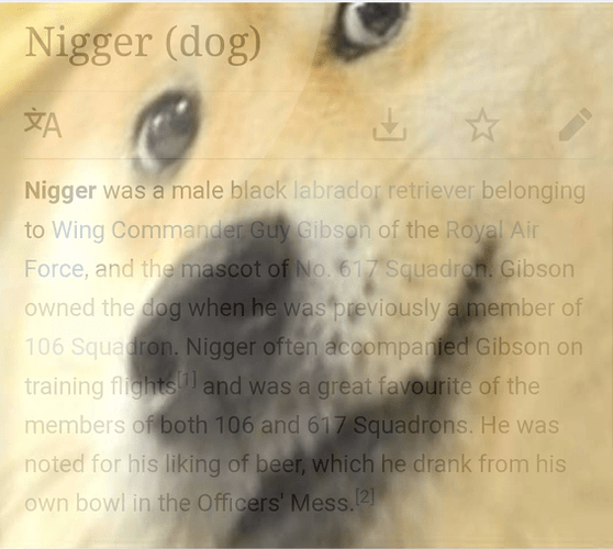 45493663_1112632295565577_6552920324646633472_o