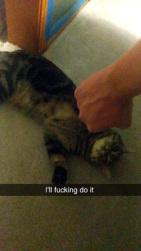 Snapchat-168497858