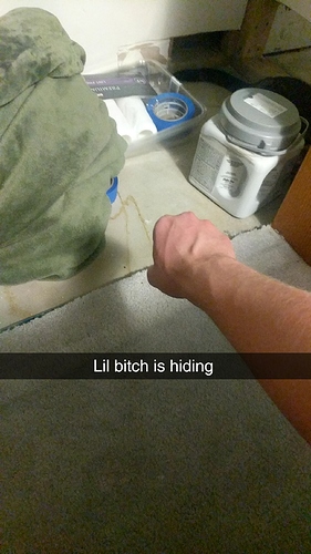 Snapchat-831926825