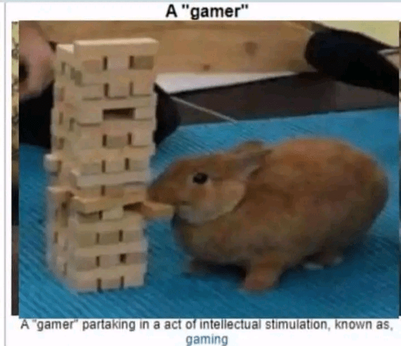 gamer