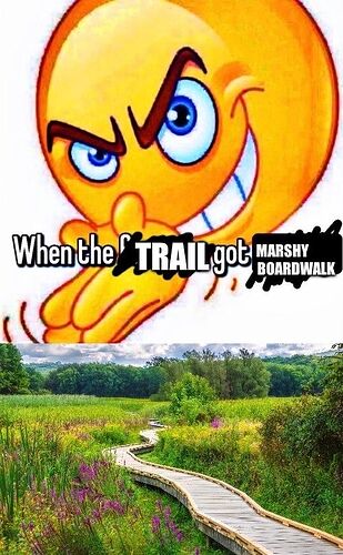bafkreiaa37ifvlokimmveivksdasee5gmj22lwcxuzfinvi6g7r46fq444