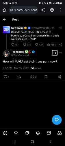 Screenshot_20250315_170753_Chrome