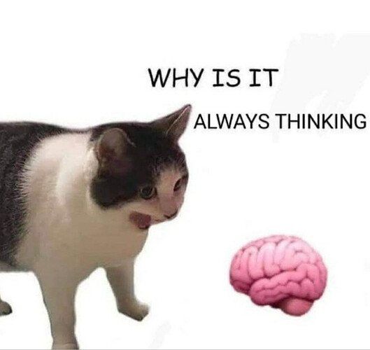 gozbwd5su8h81