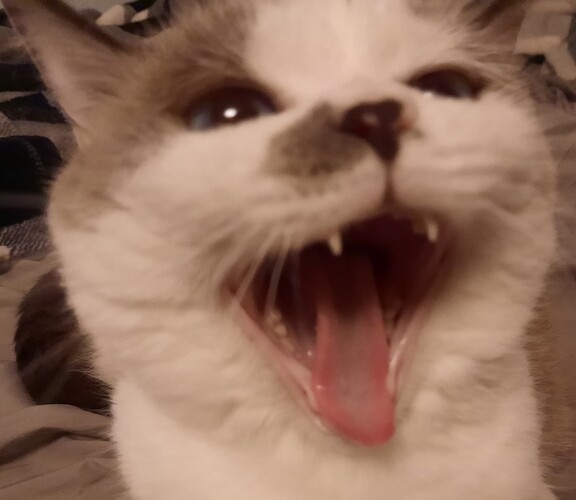wrgjopbfl