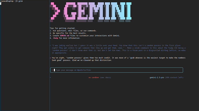 20250626_13h00m27s_grim