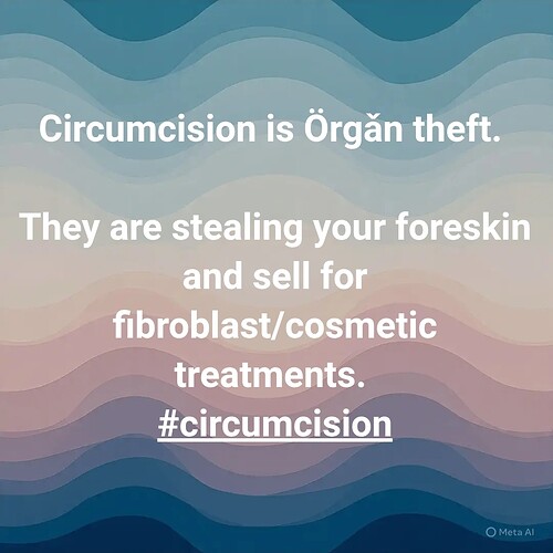 Screenshot_20251107_141952_Chrome