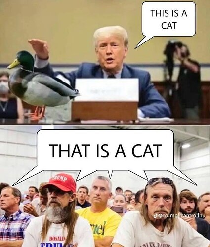 GlkpzgyWoAArzjv