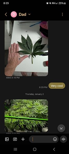 Screenshot_20250124_202942_Messages