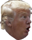 :pogtrump: :pogtrump: