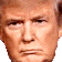 :trump: :trump: