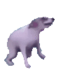 :dogedance: :dogedance: