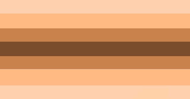 Another_transracial_pride_flag