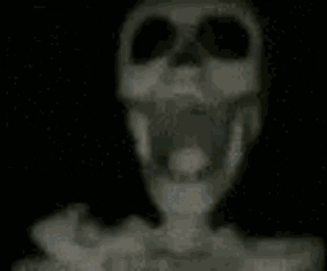 Aintnoway Skeleton GIF - Aintnoway Aint No GIFs